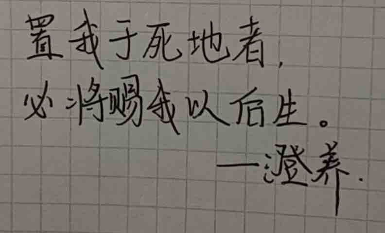 IMG_2979.jpeg