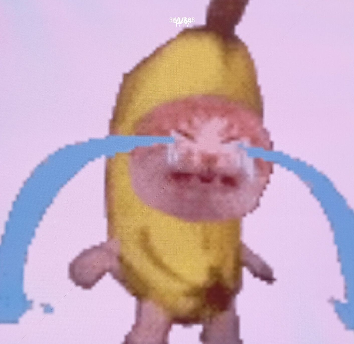 1753708531245.jpg