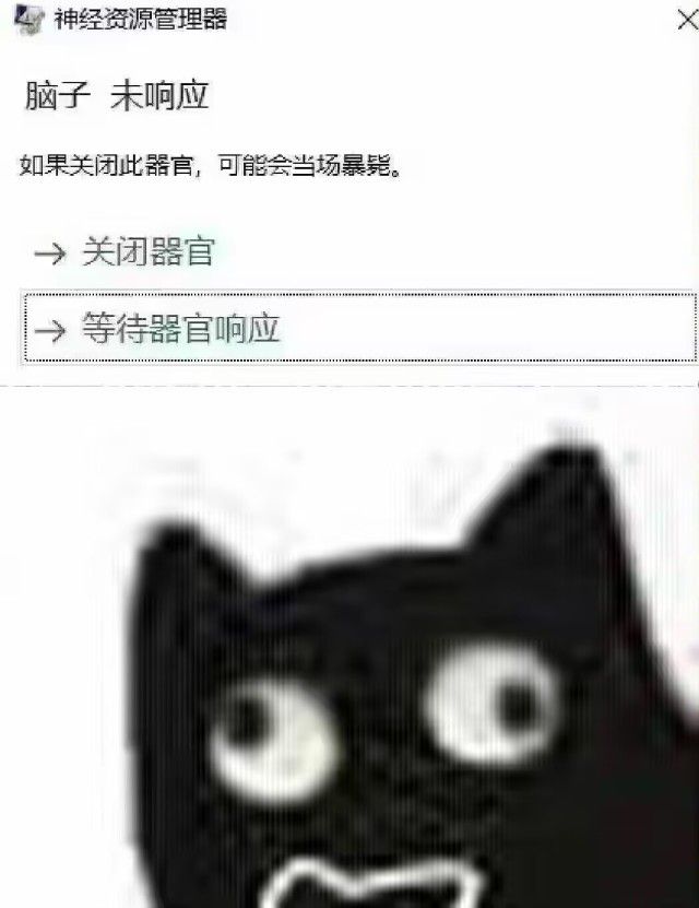 1755274031396.jpg