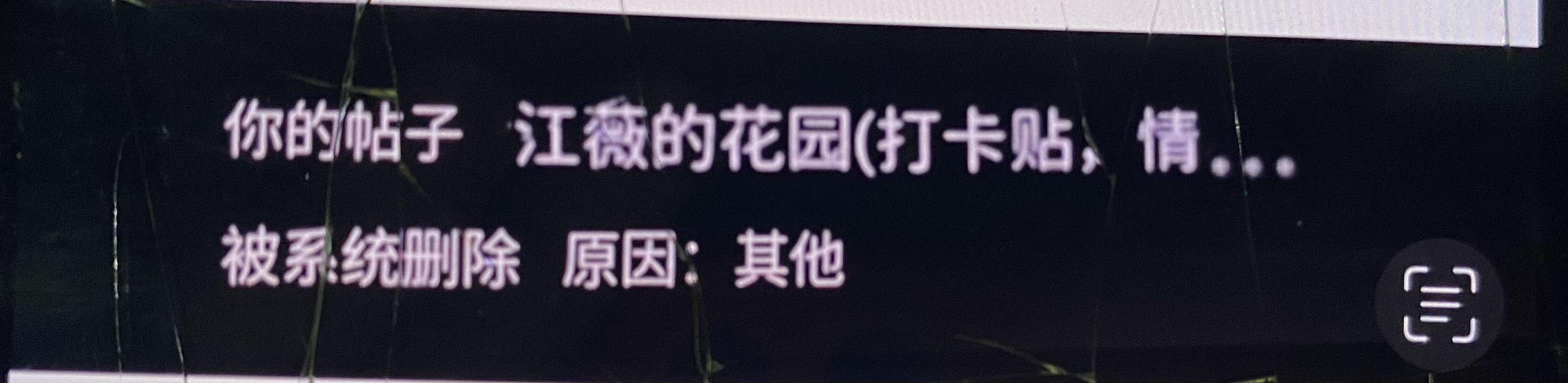 1756560400288.jpg