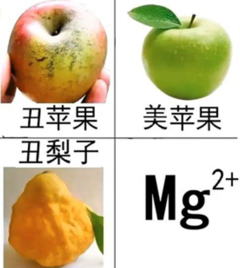 1753924494009.jpg