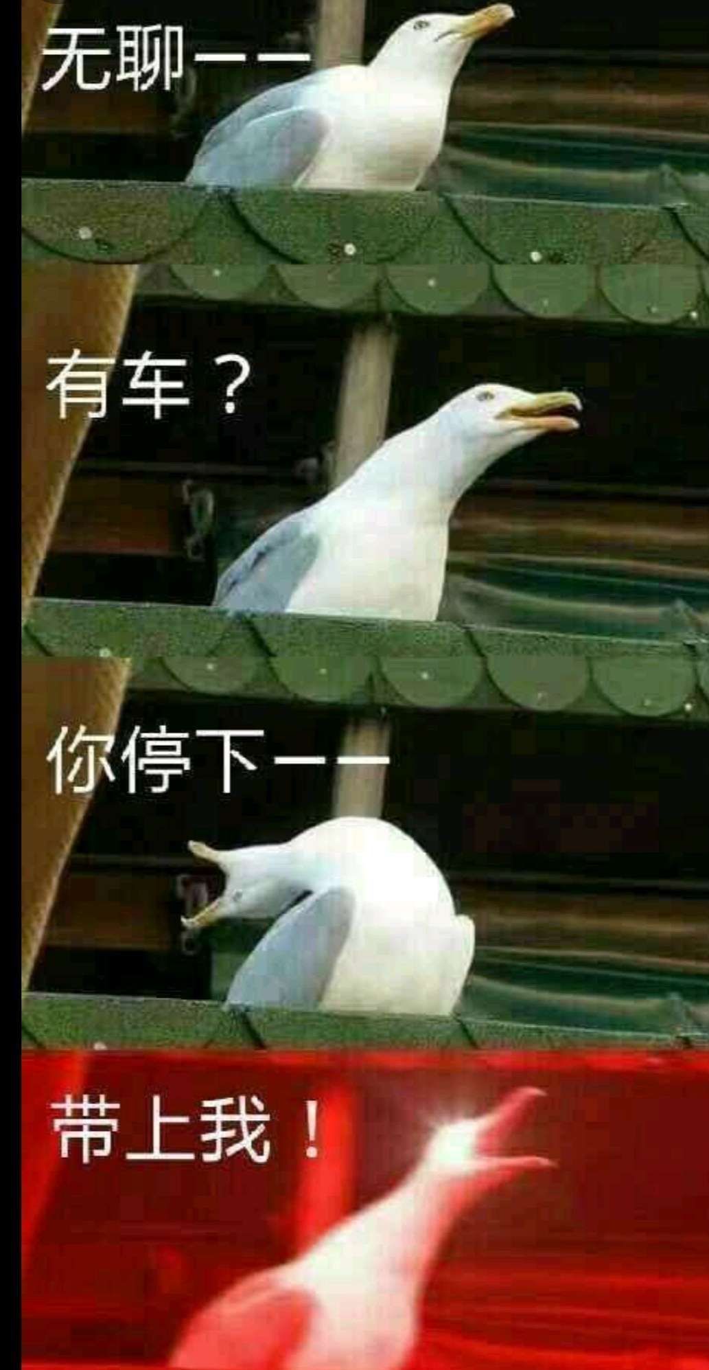 1755151757926.jpg