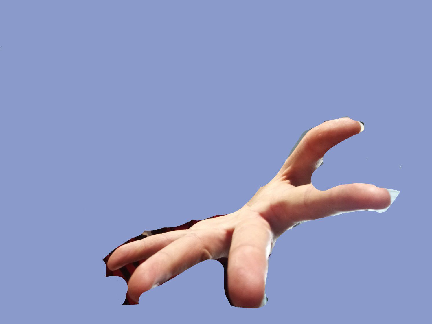 1757139559681.jpg