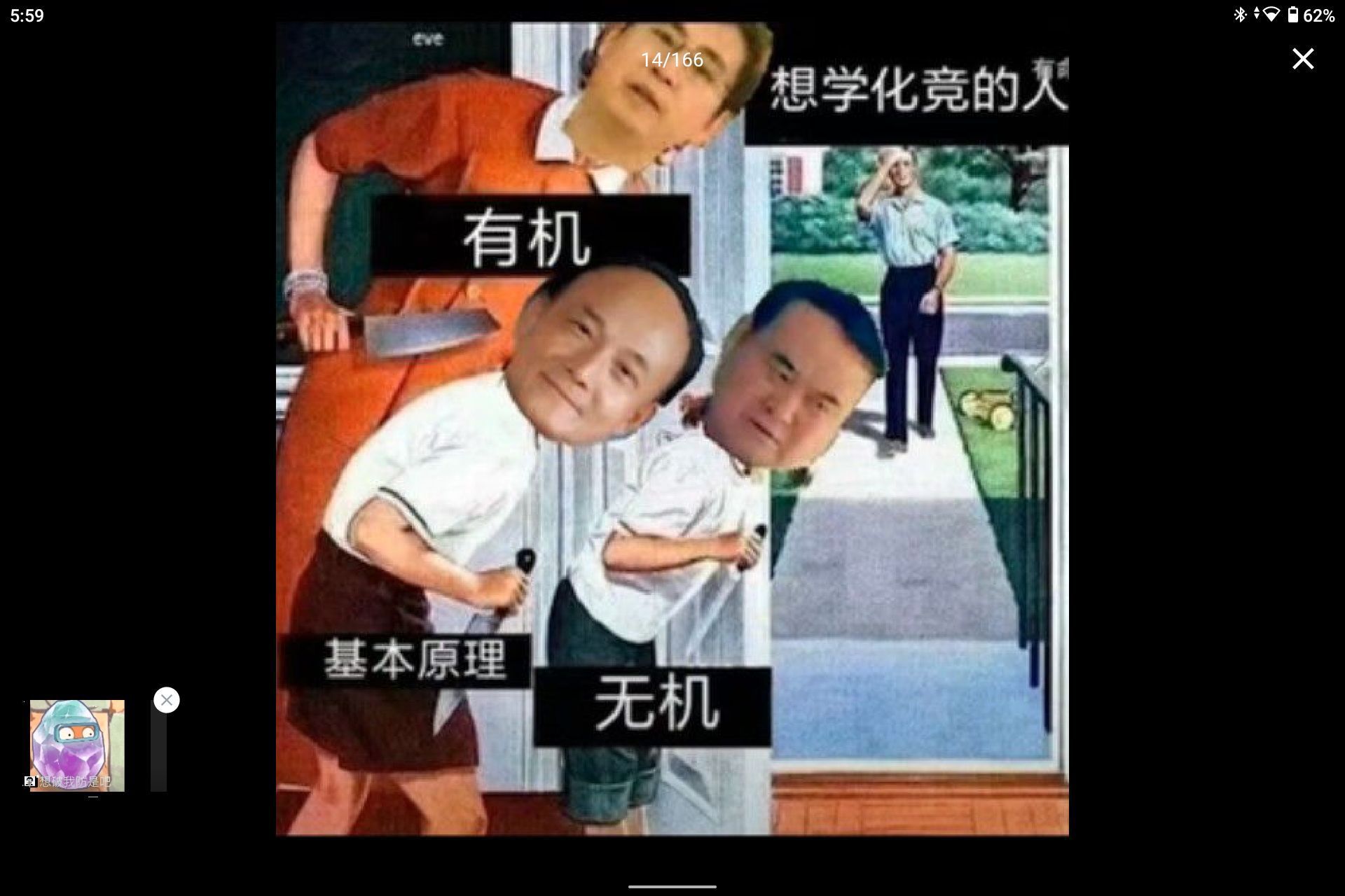 1755151244955.jpg