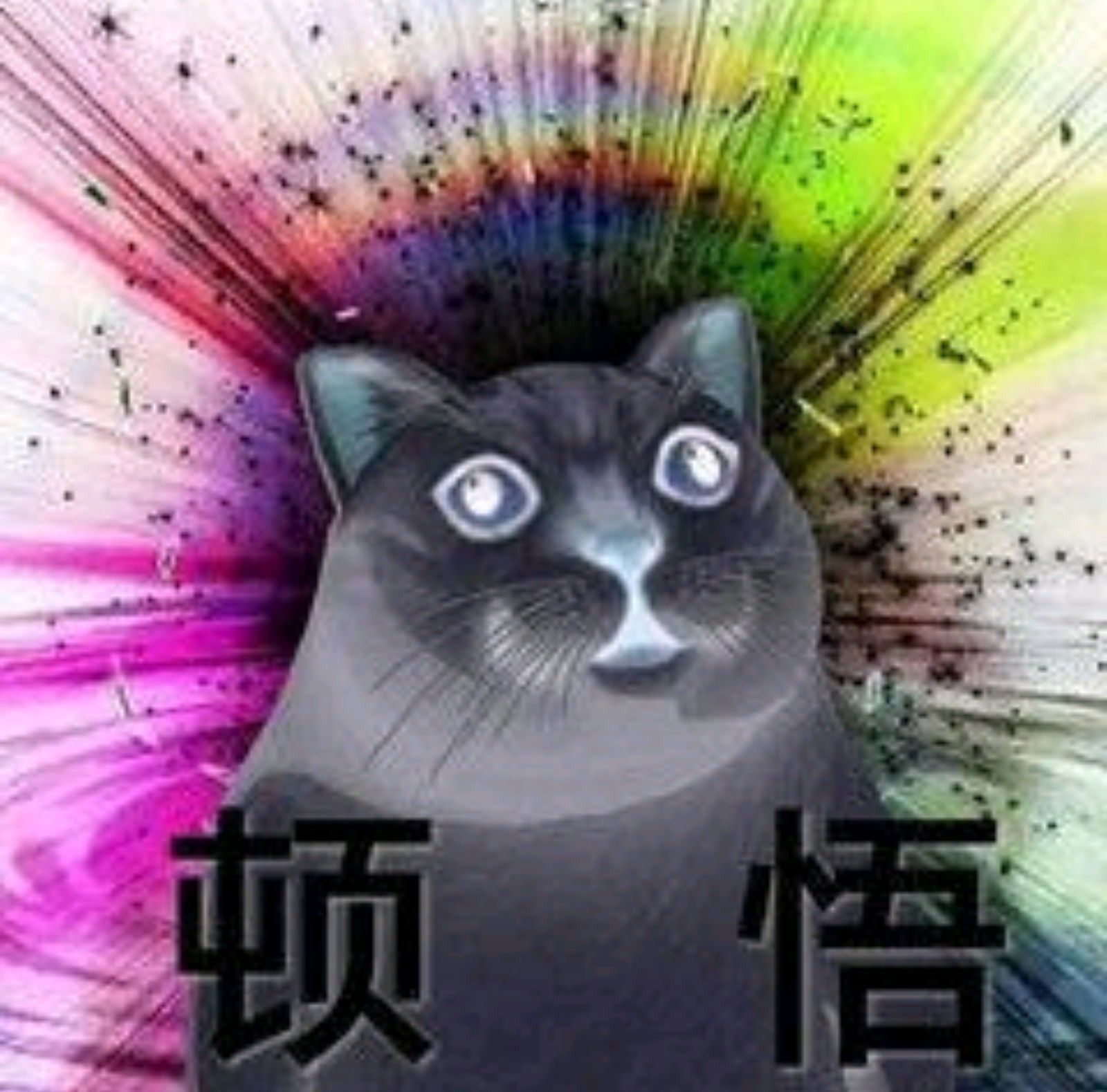 1757139548205.jpg