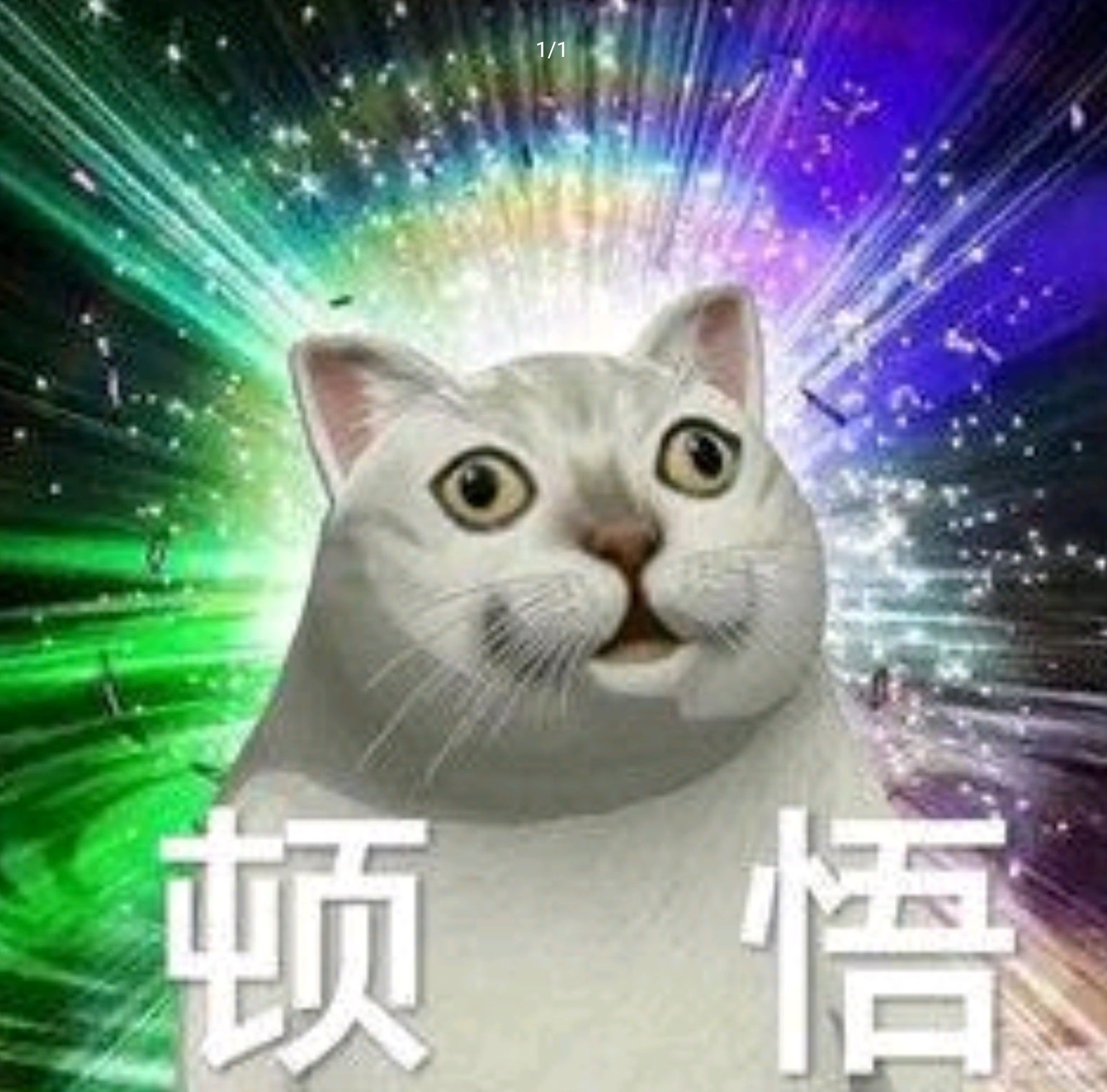 Screenshot_2025-08-02-20-04-44-353_1.jpg