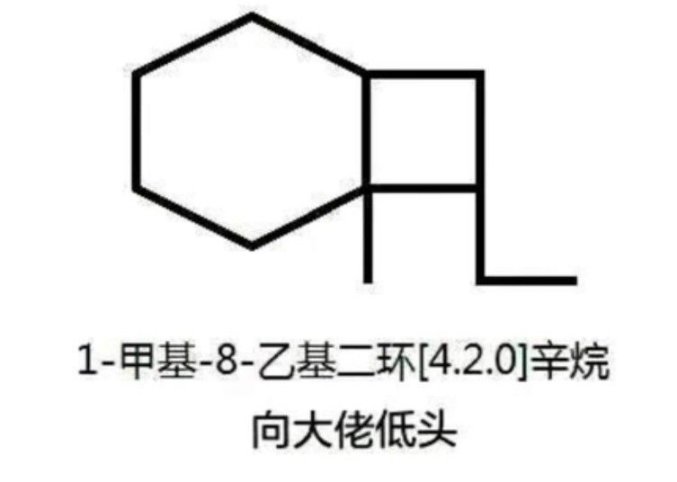 1755151153385.jpg