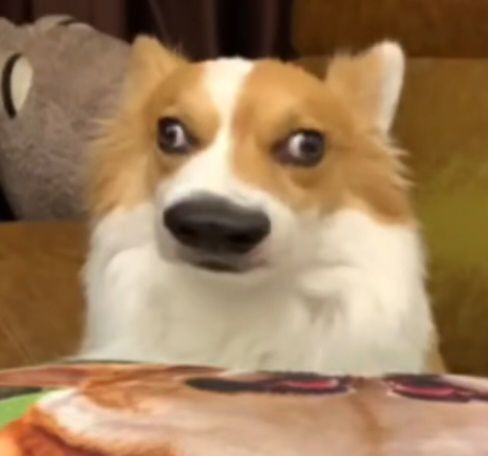 1752725760906.jpg