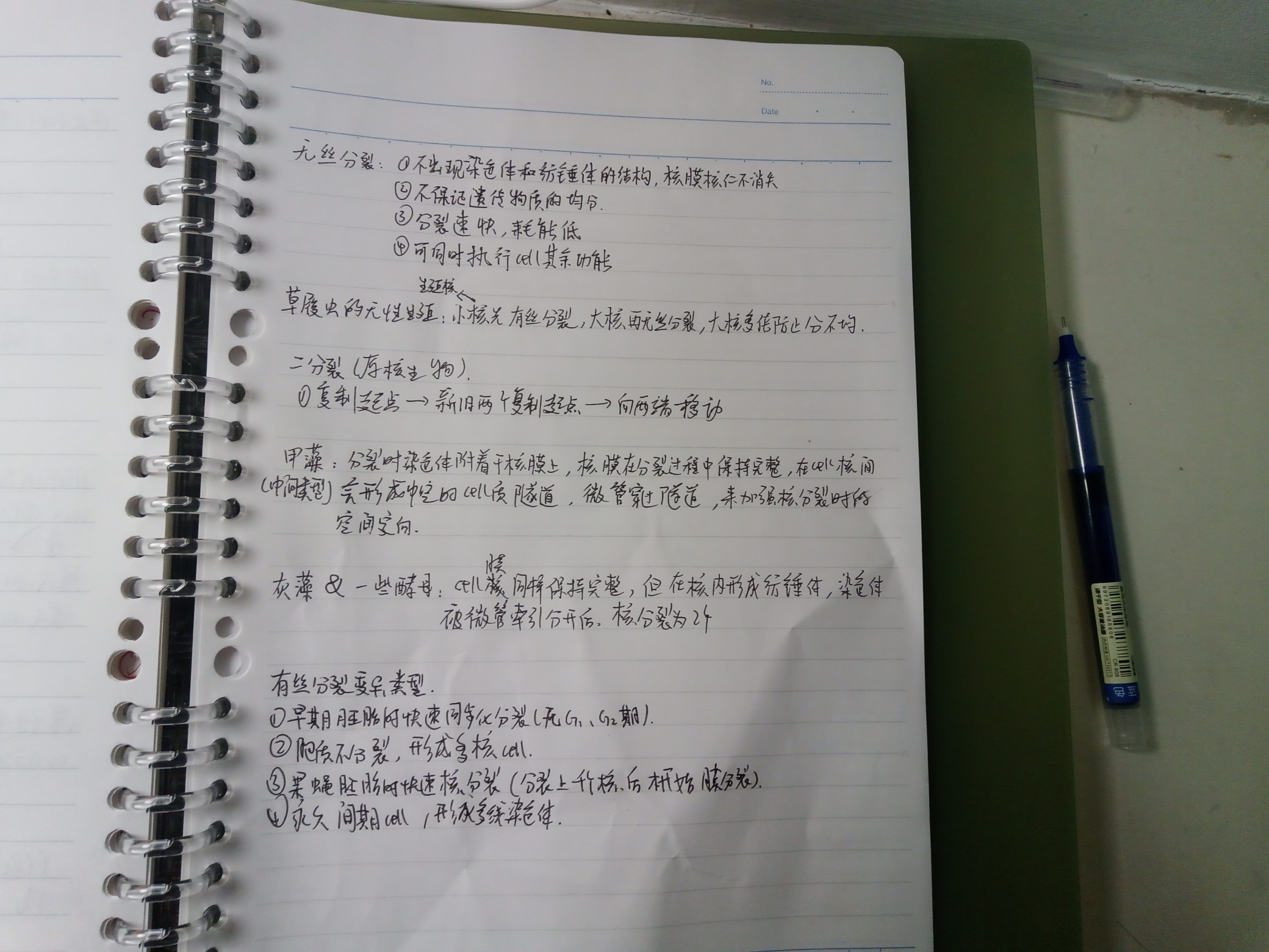 IMG_20251019_174226_655.jpg
