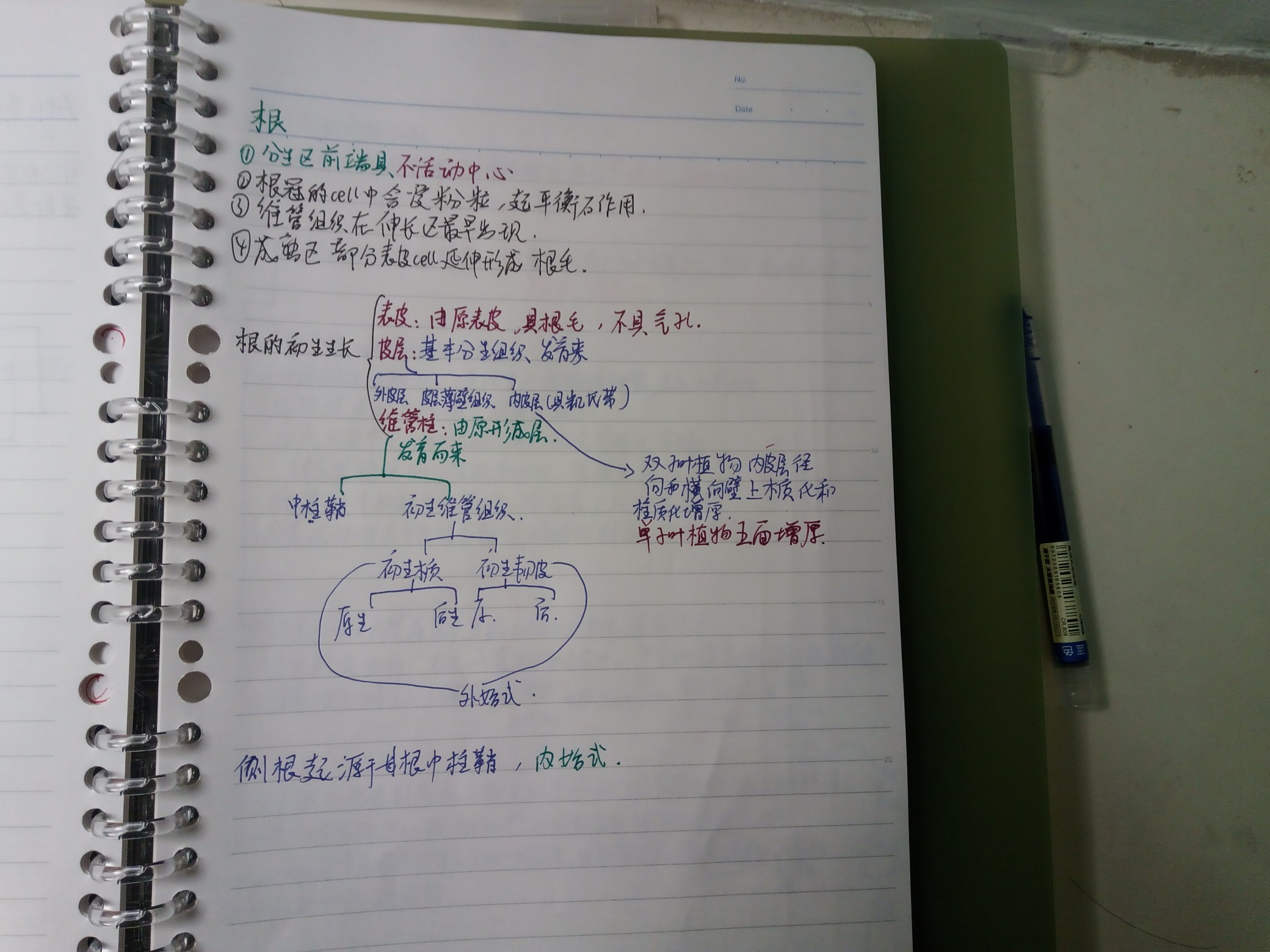 IMG_20251019_174114_492.jpg
