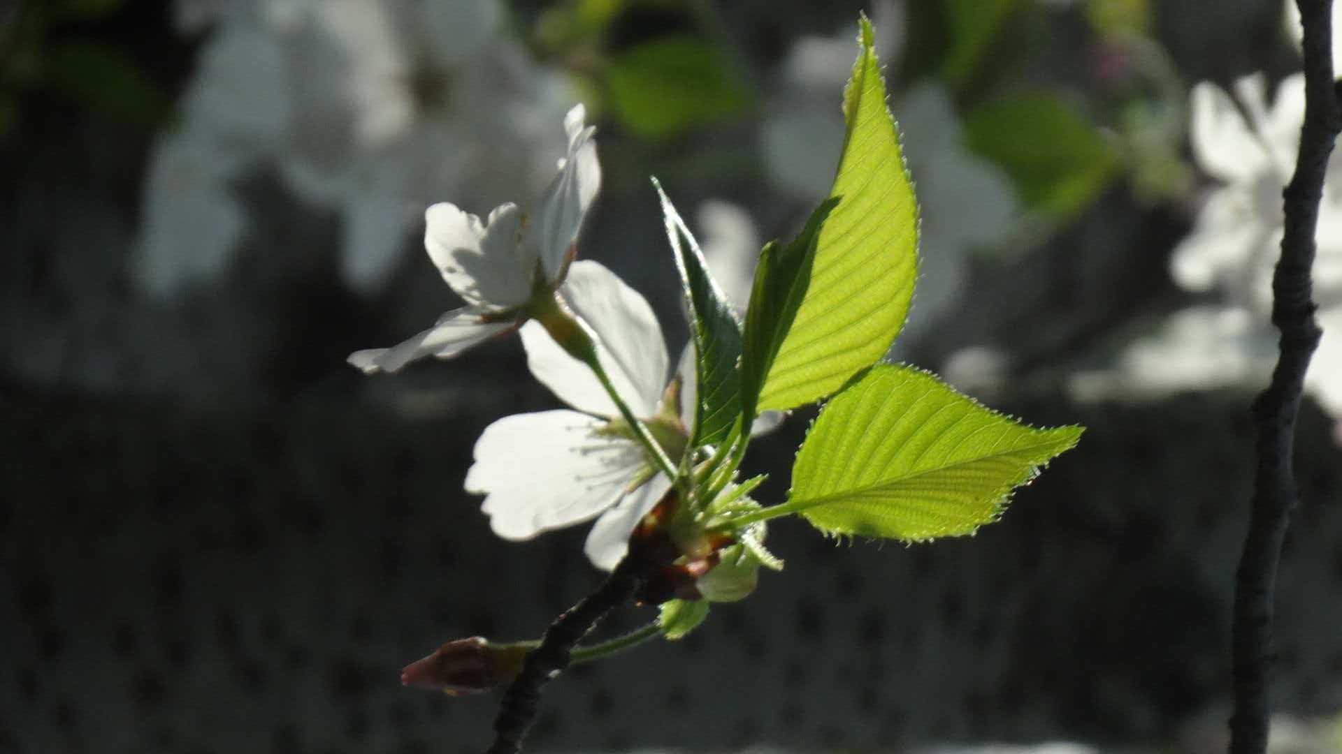 61c9e634c29cc4722273d99717029a34.jpeg