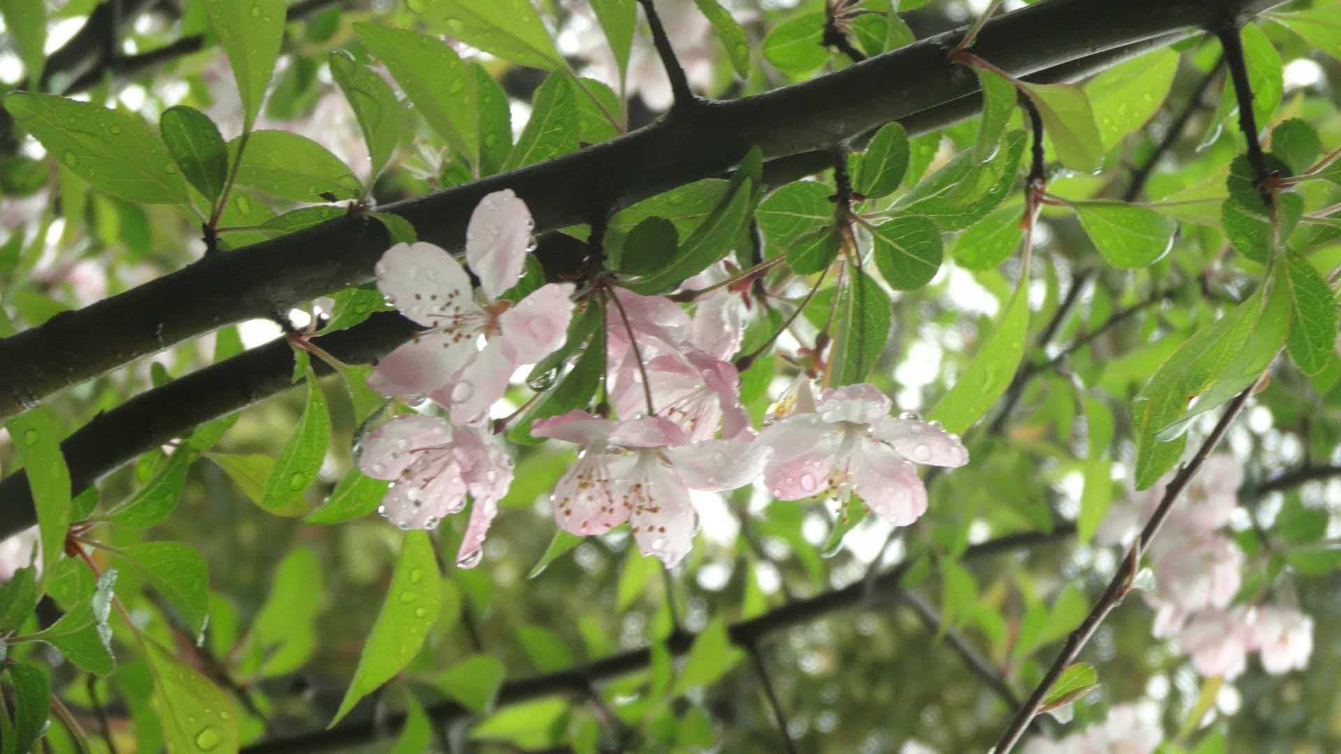 278e401d4b96ad6184fa65f971208a95.jpeg
