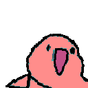 bootlegparrot.gif