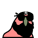 bikerparrot.gif