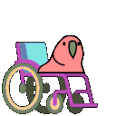 accessibleparrot.gif