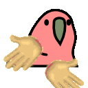 6-7parrot.gif