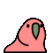 boomparrot.gif