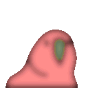 blurryparrot.gif