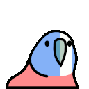 braveheartparrot.gif