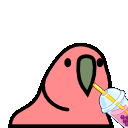 bobaparrot.gif
