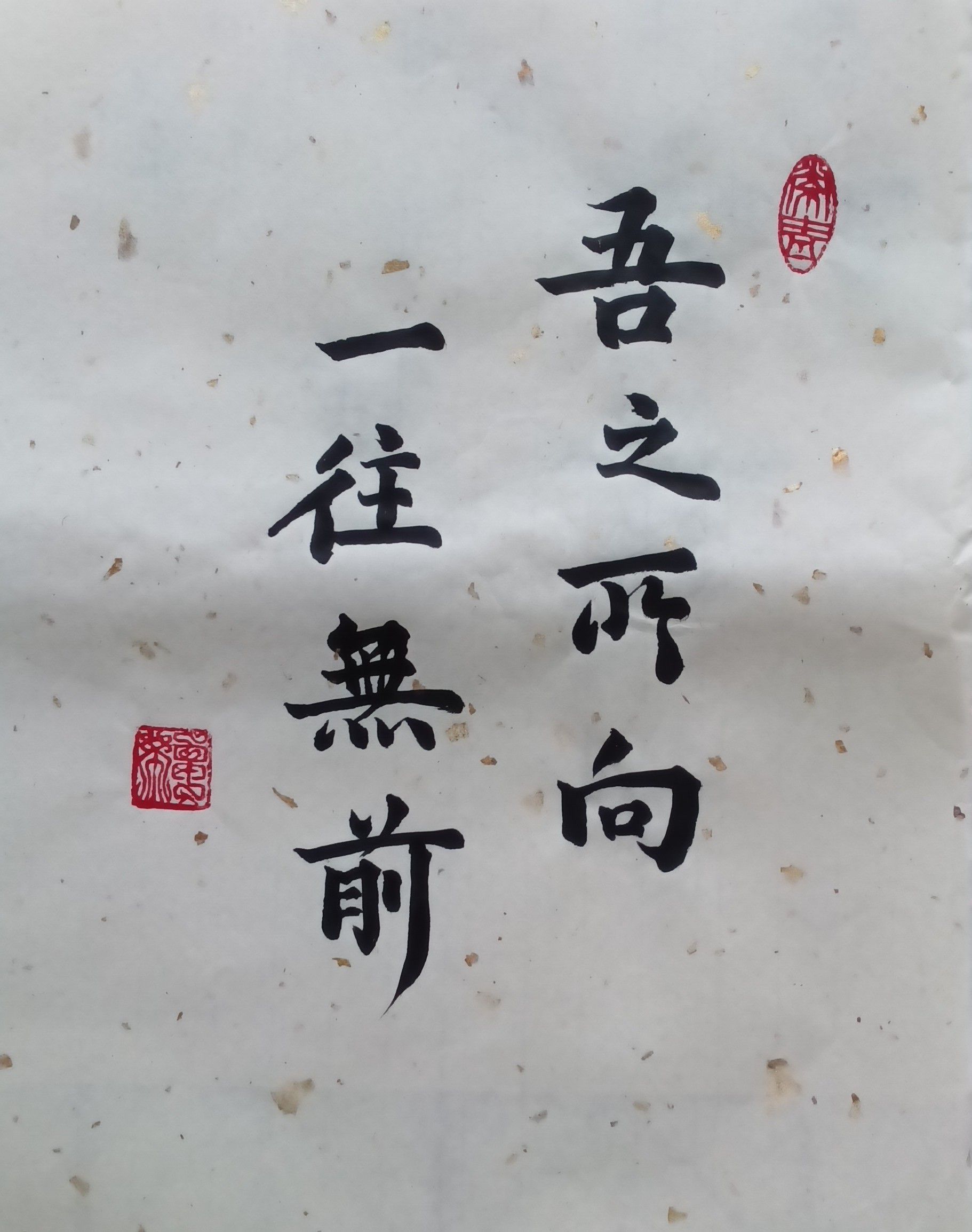 1755153713547.jpg