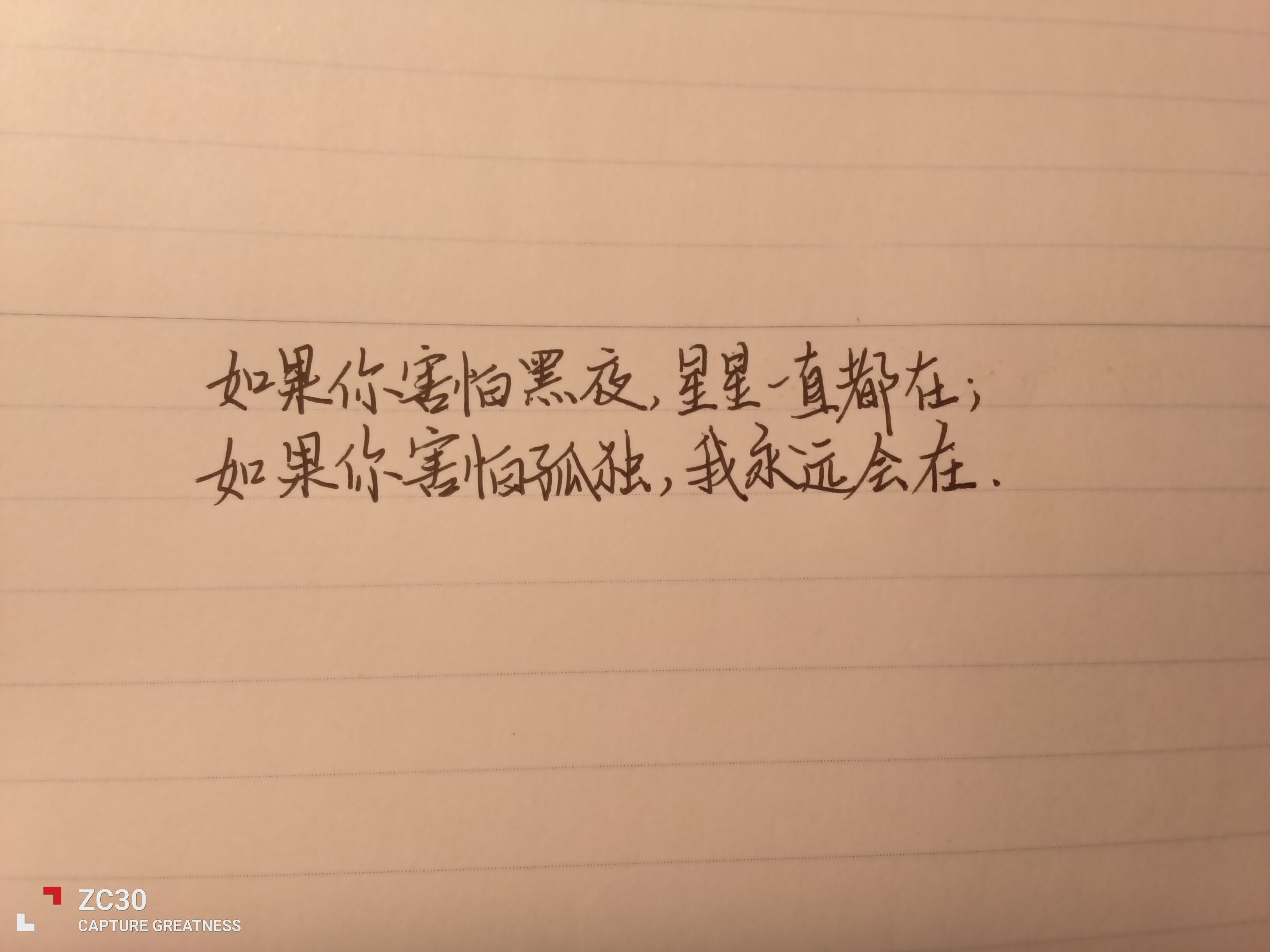 1755170500628.jpg