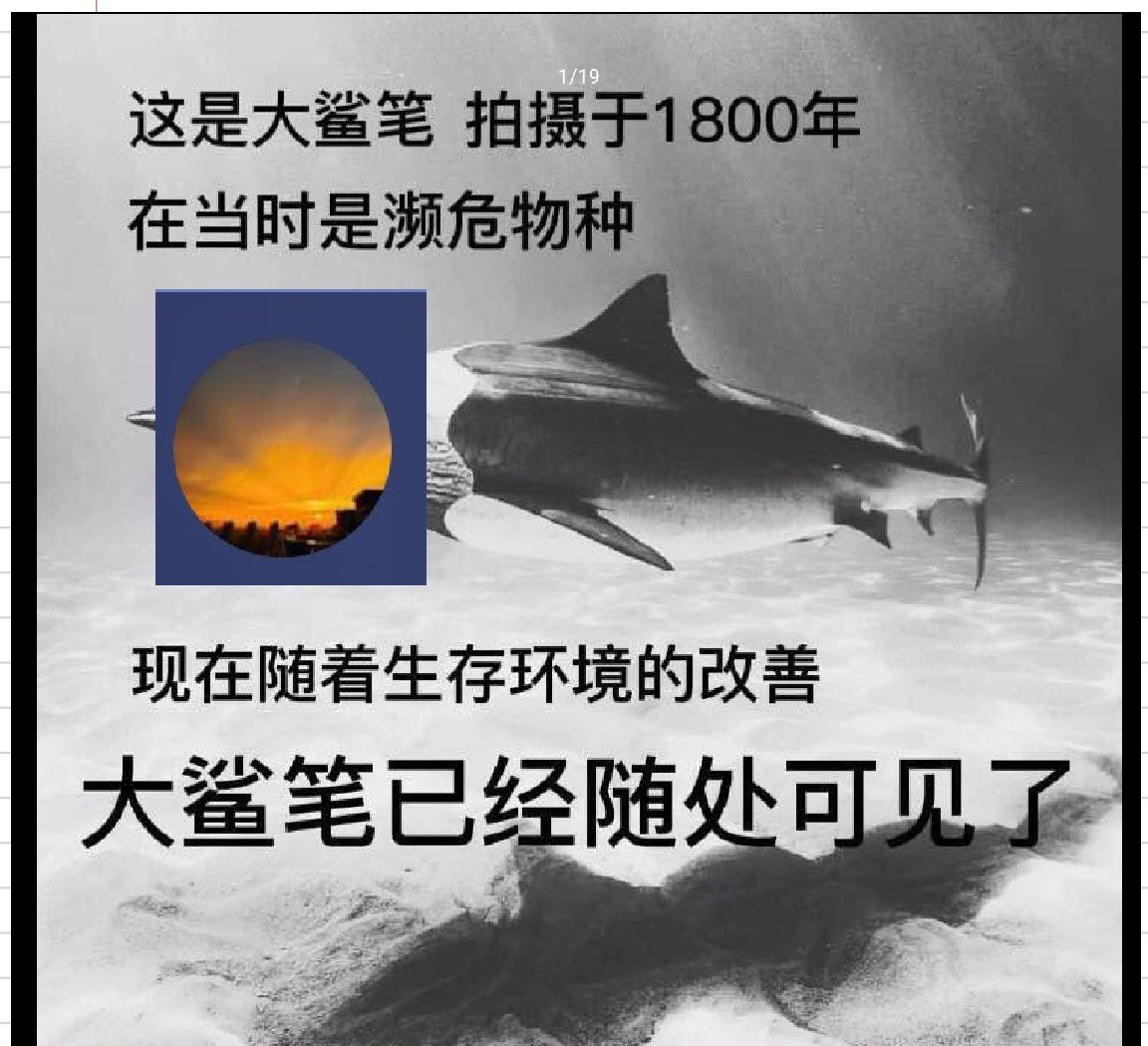 Screenshot_2026-05-02-19-09-14-227_1.jpg