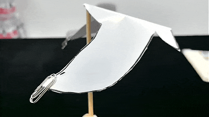IMG_9641.gif