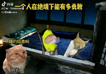 lv_0_20260523181509.gif