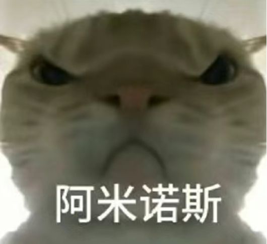 1771050865399.jpg