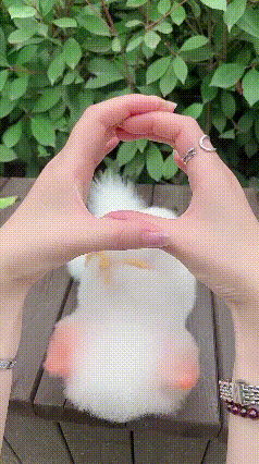 lv_0_20260526172453.gif