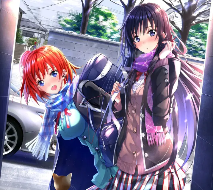 IMG_0015.png
