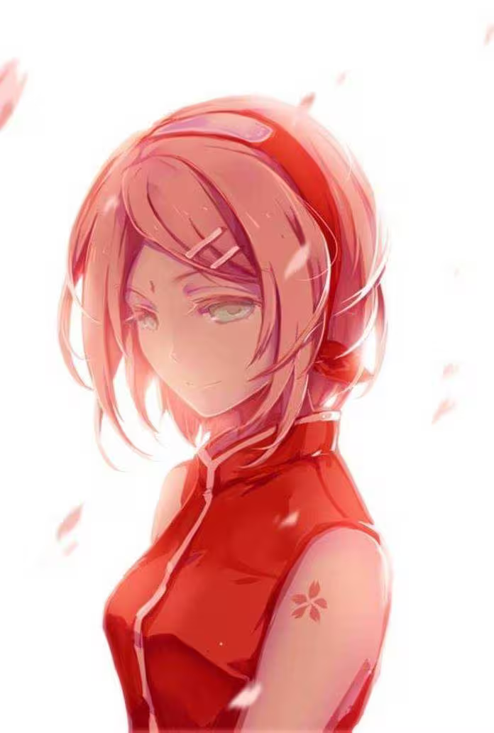 IMG_0233.png