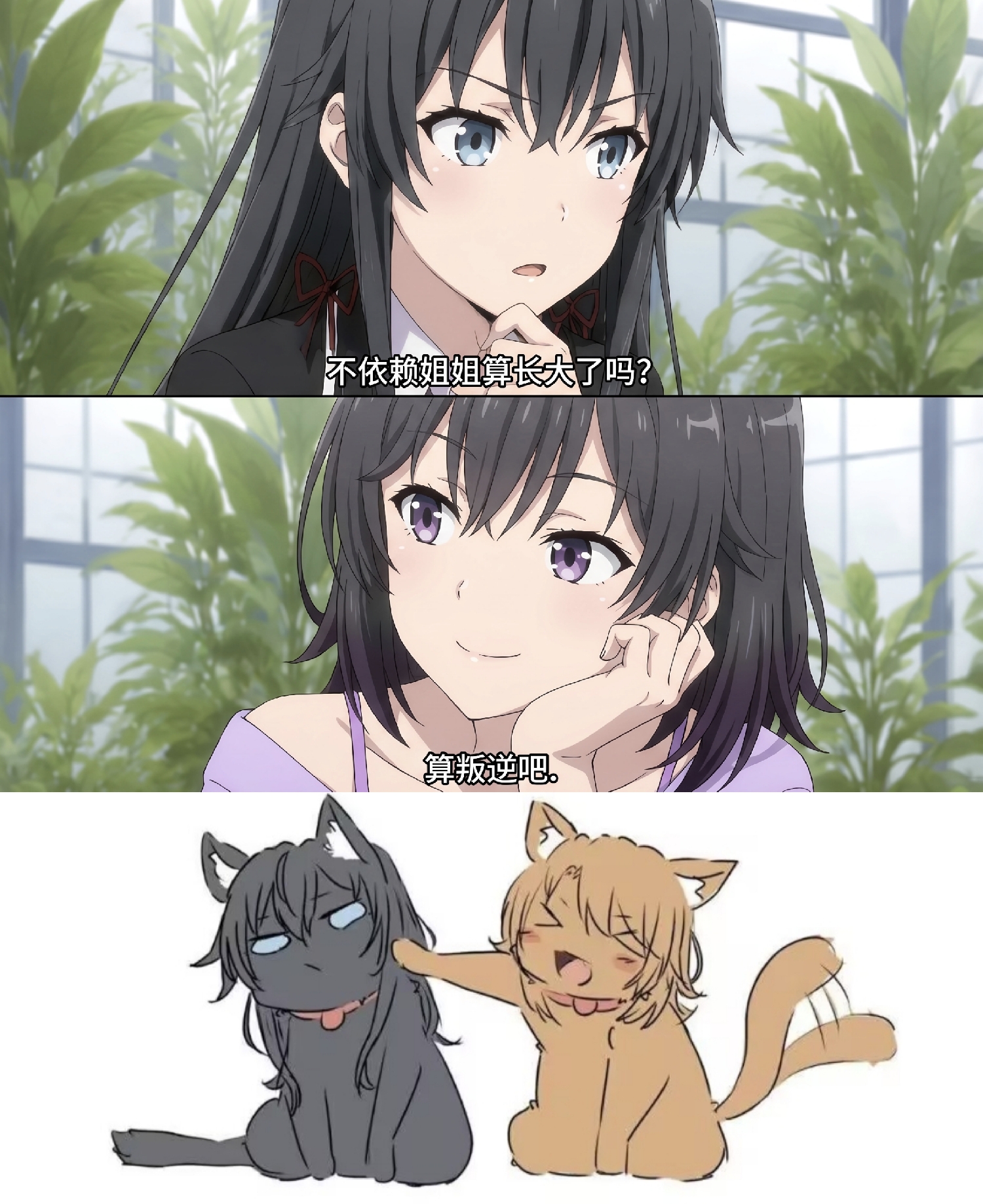 1781347830354.jpeg