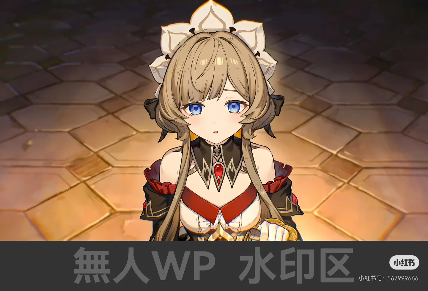 IMG_8568.jpg