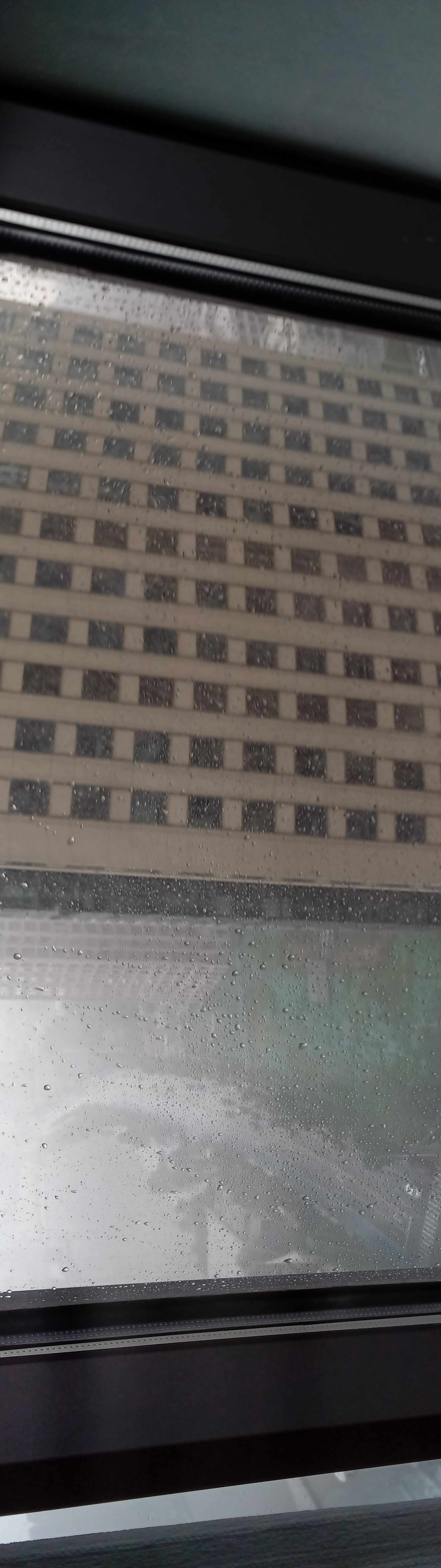 PANO_2026-07-11_13-44-46.jpg