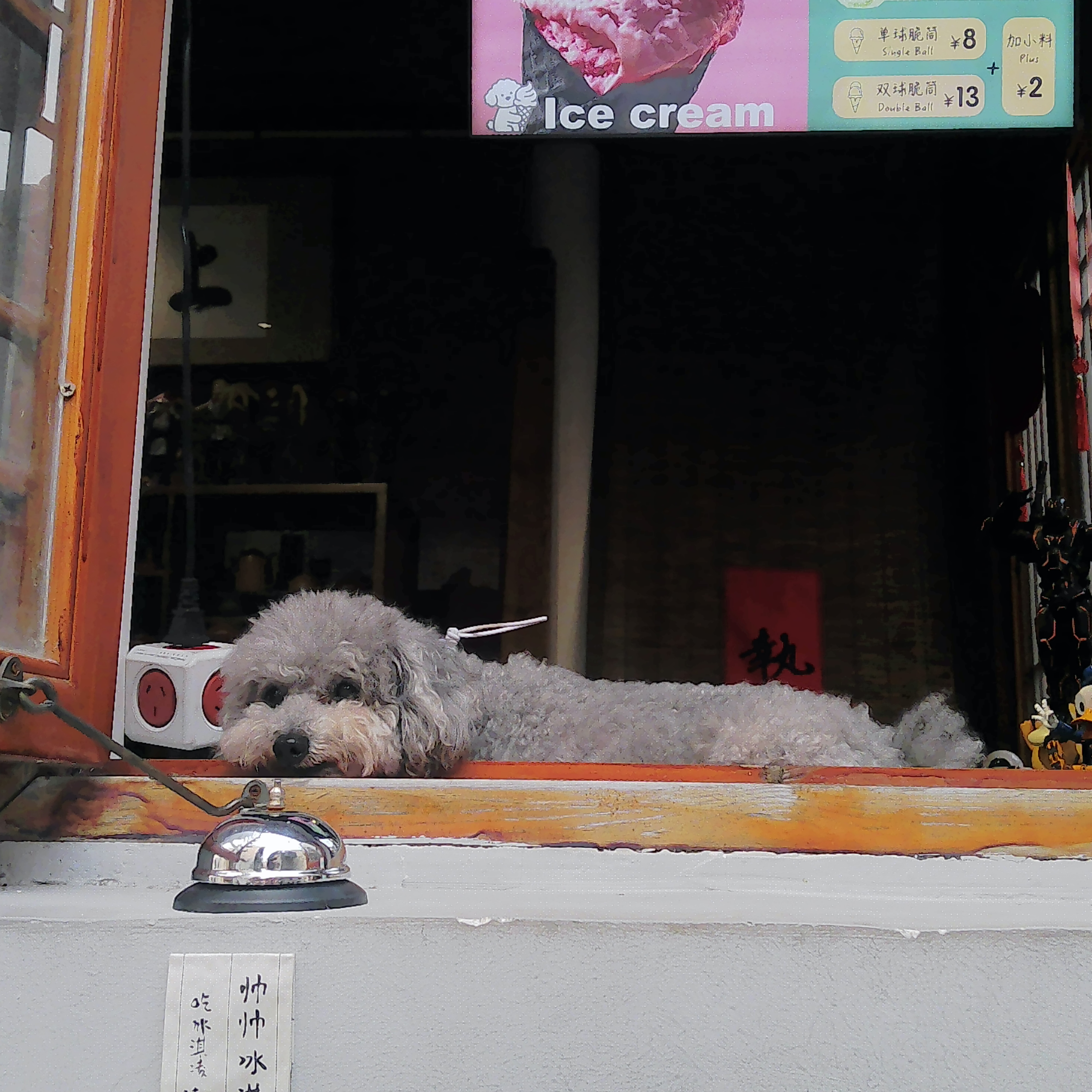 PICA0189.jpg