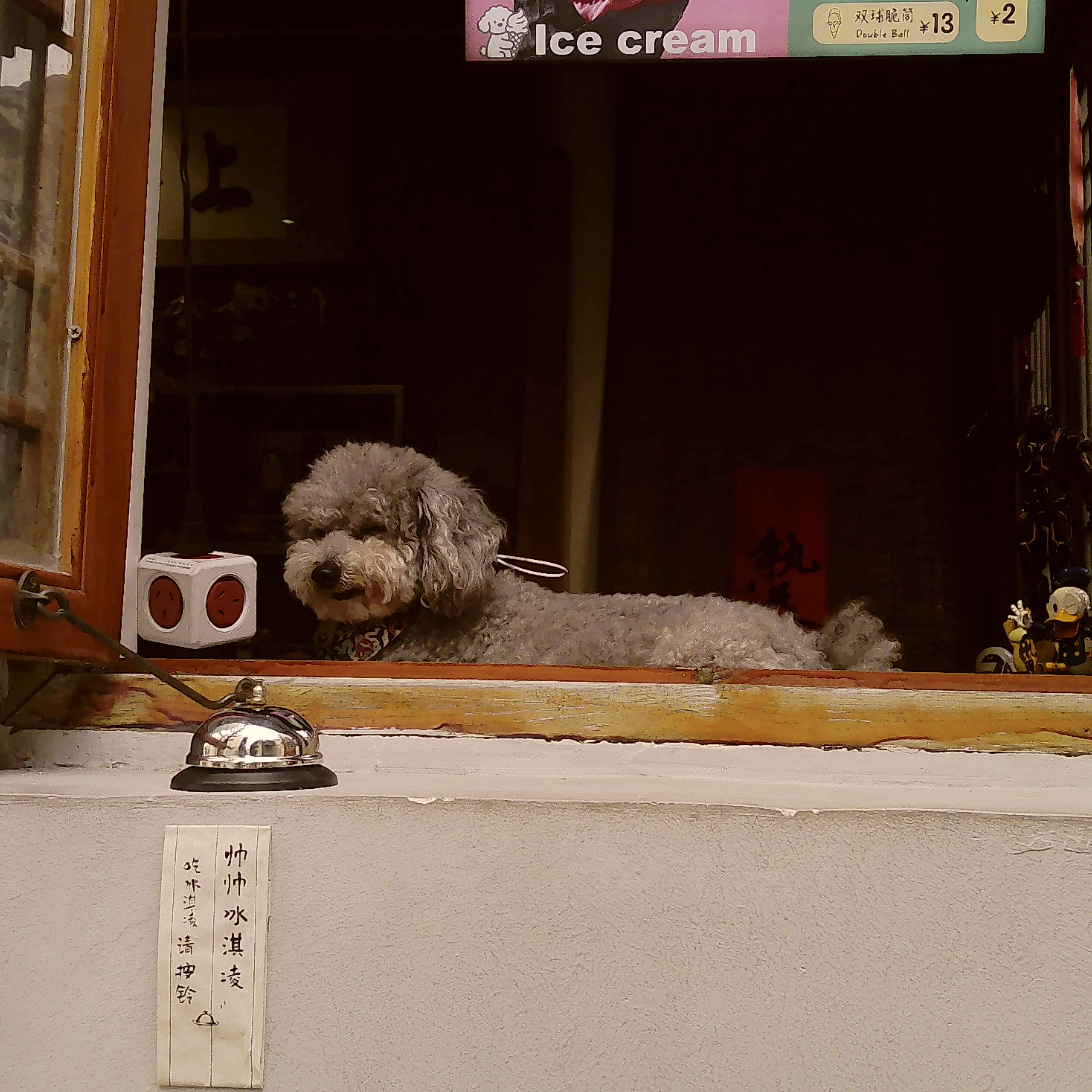 PICA0188.jpg