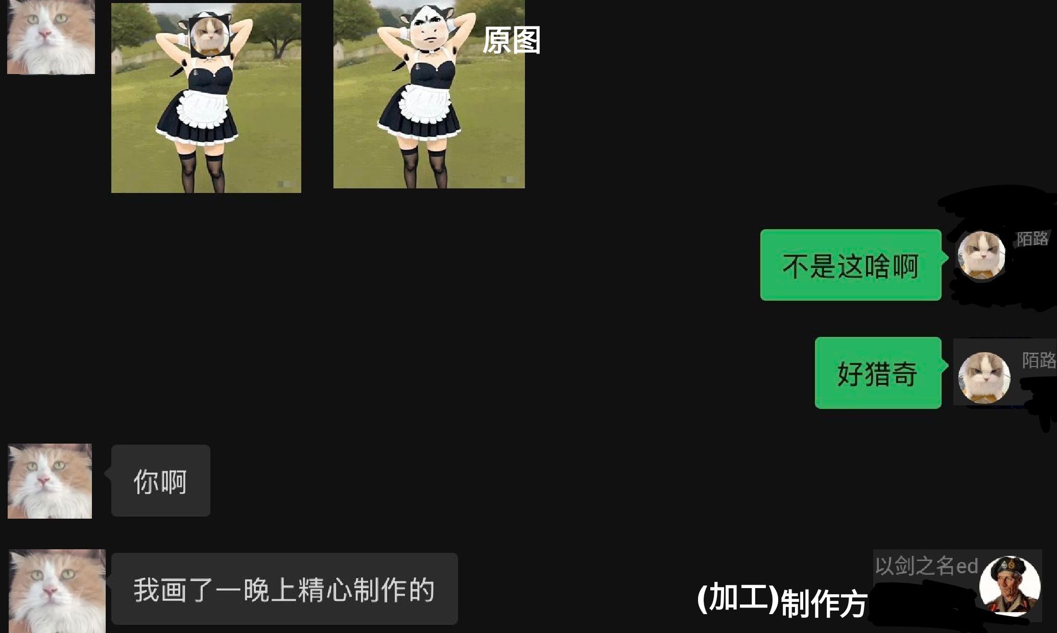 1781265706071.jpg