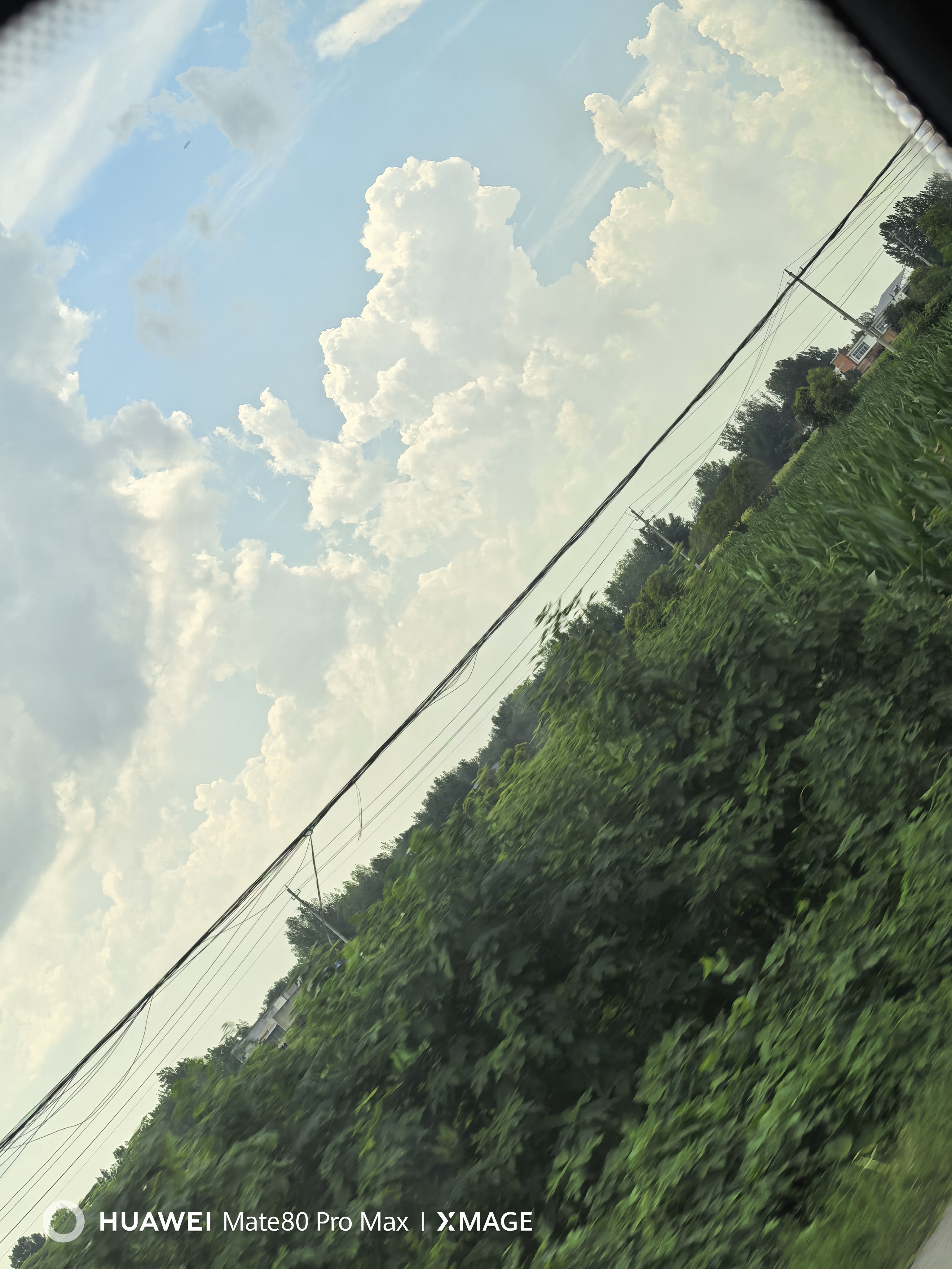 IMG_20260726_150618.jpg