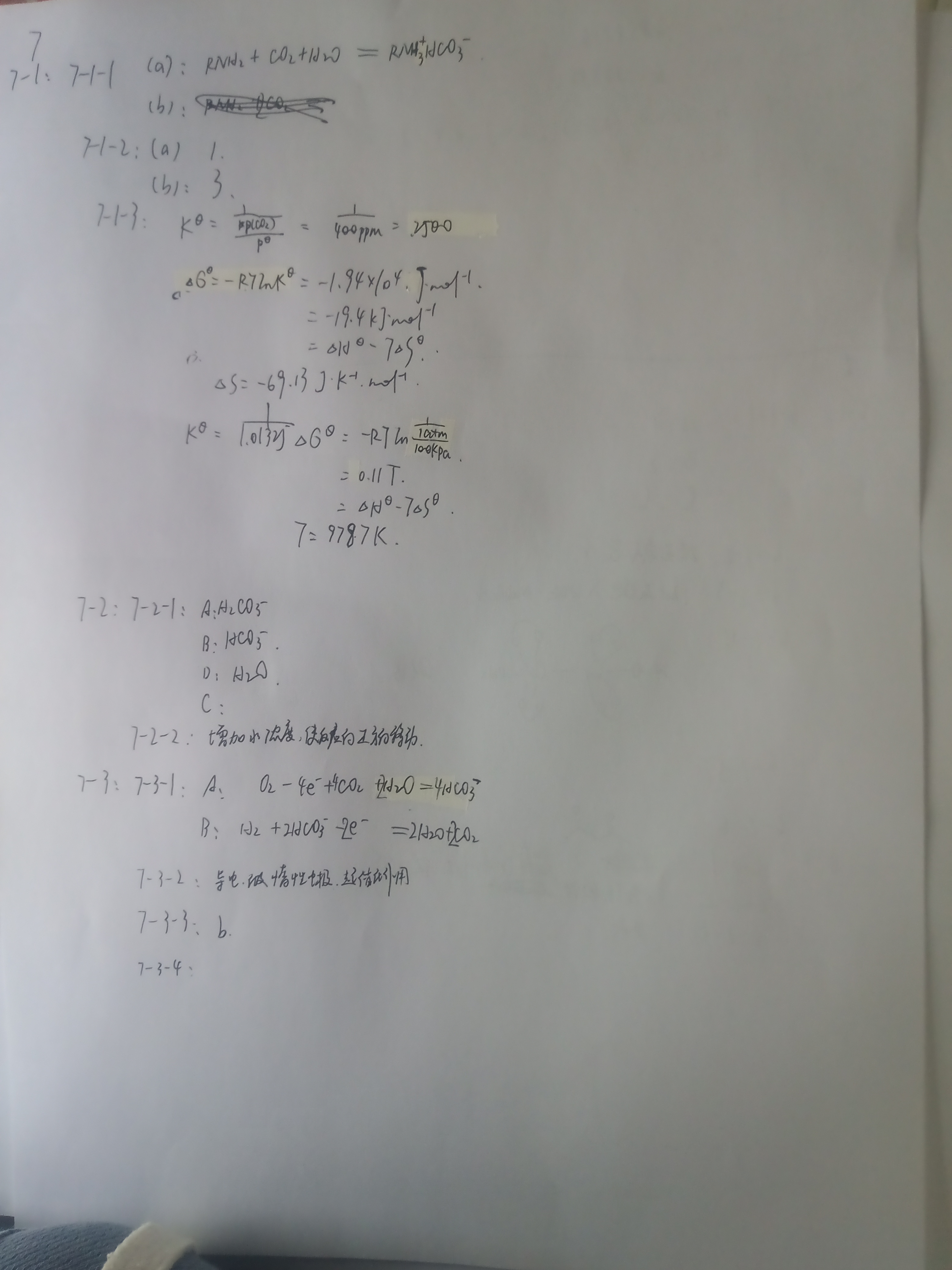 IMG_20260731_163107_679.jpg