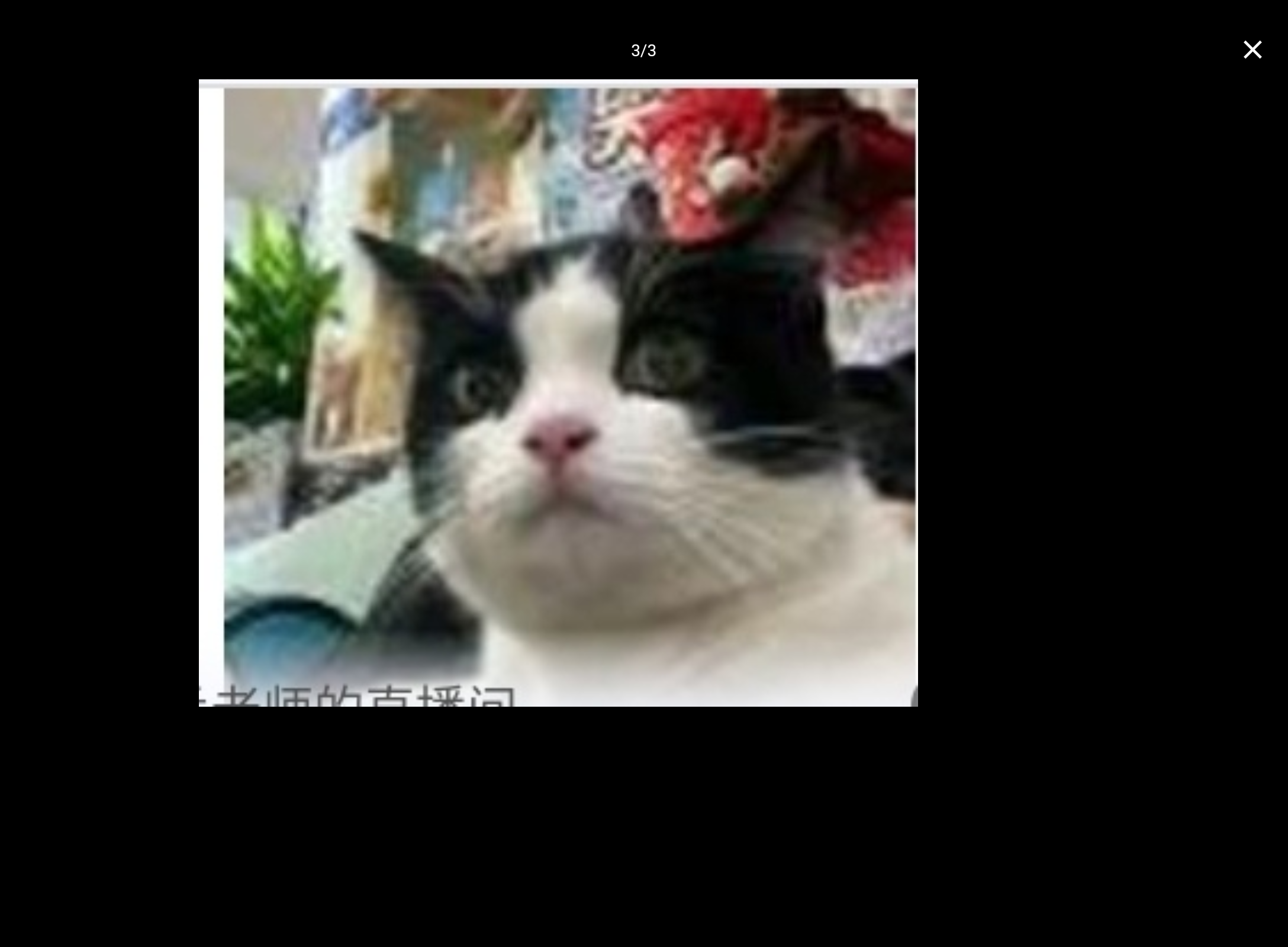Screenshot_20260804-155203.png