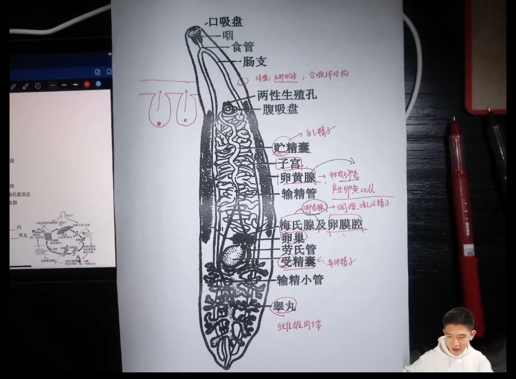 Screenshot_20260715-213634.png