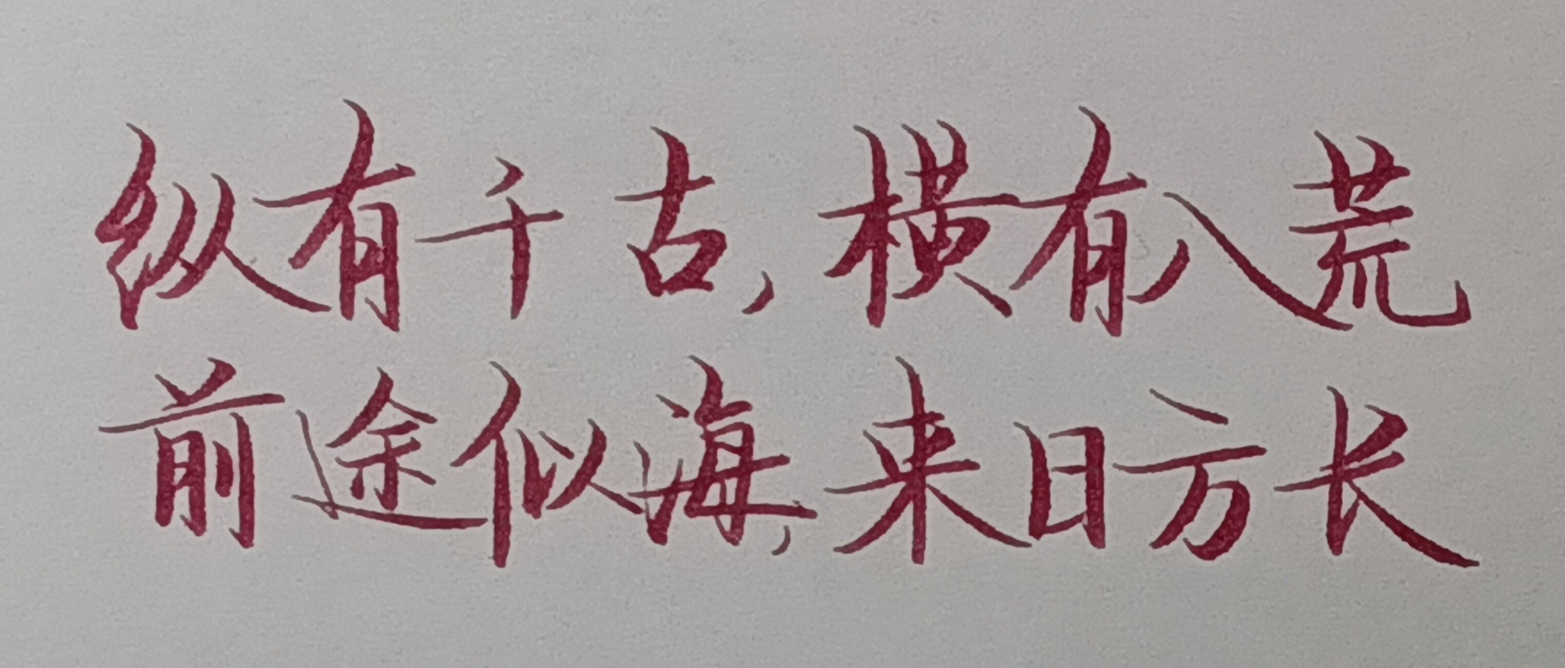 1770559897897.jpg
