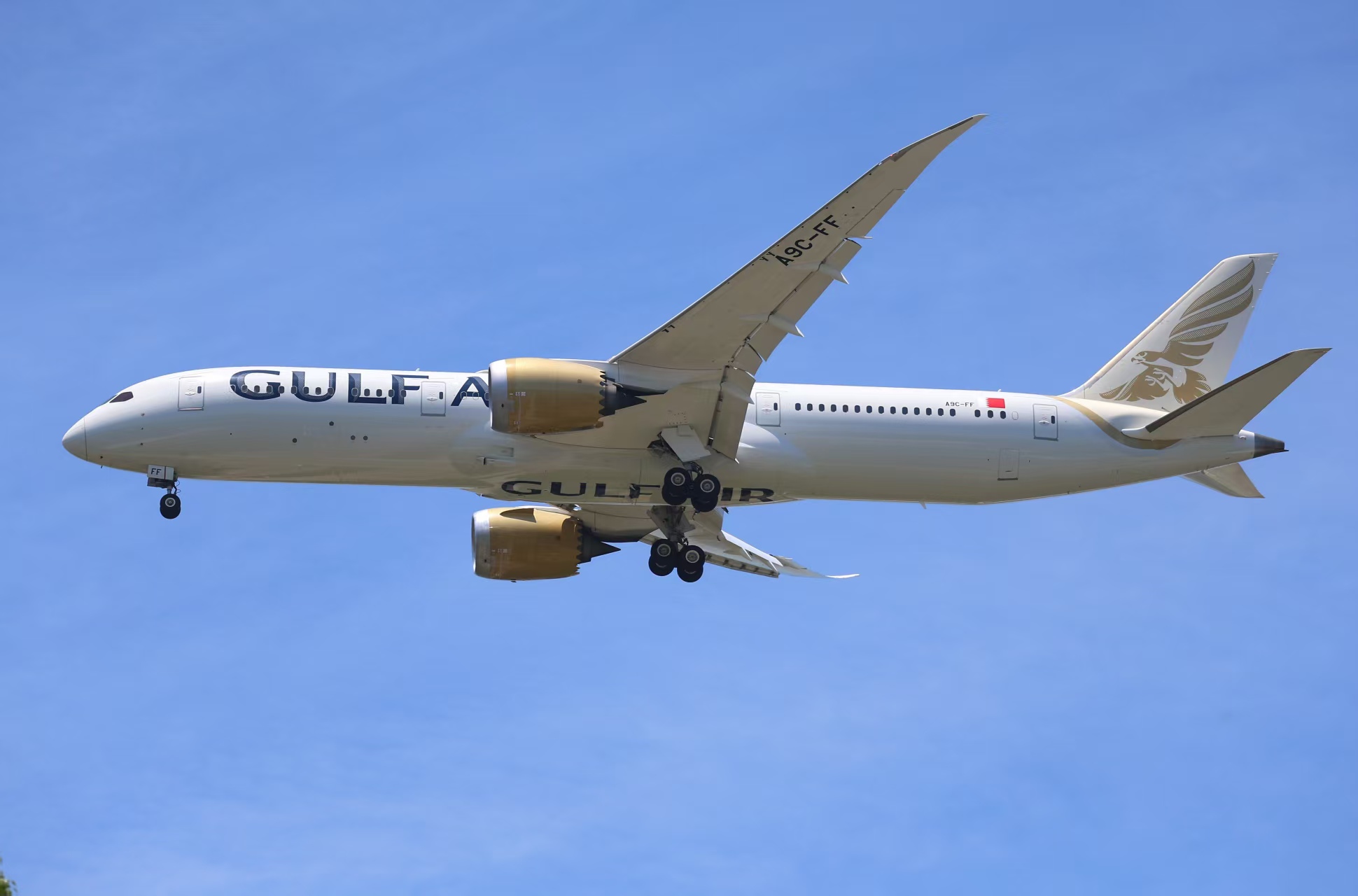 mmexport1786325165618.jpg