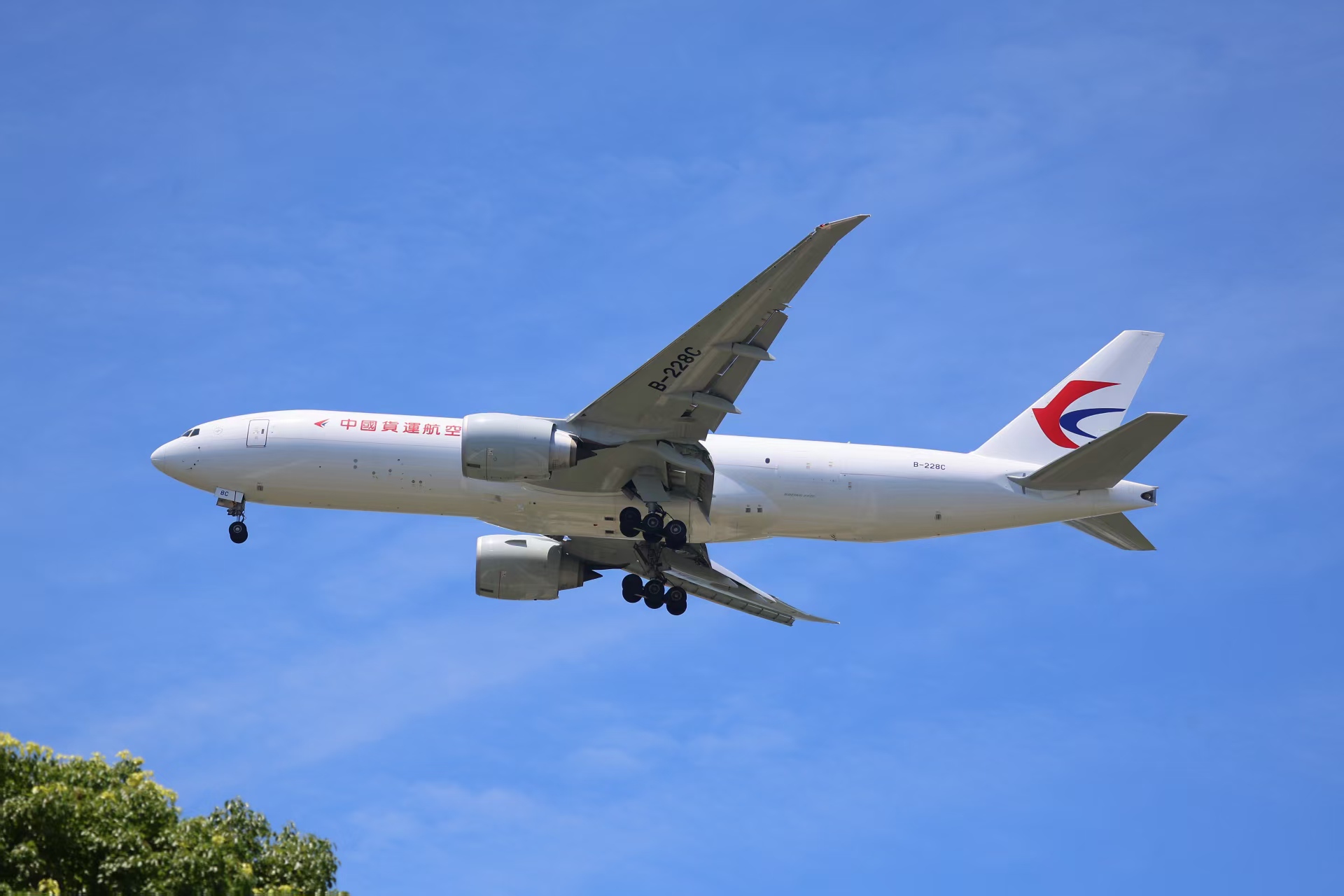 mmexport1786325173426.jpg