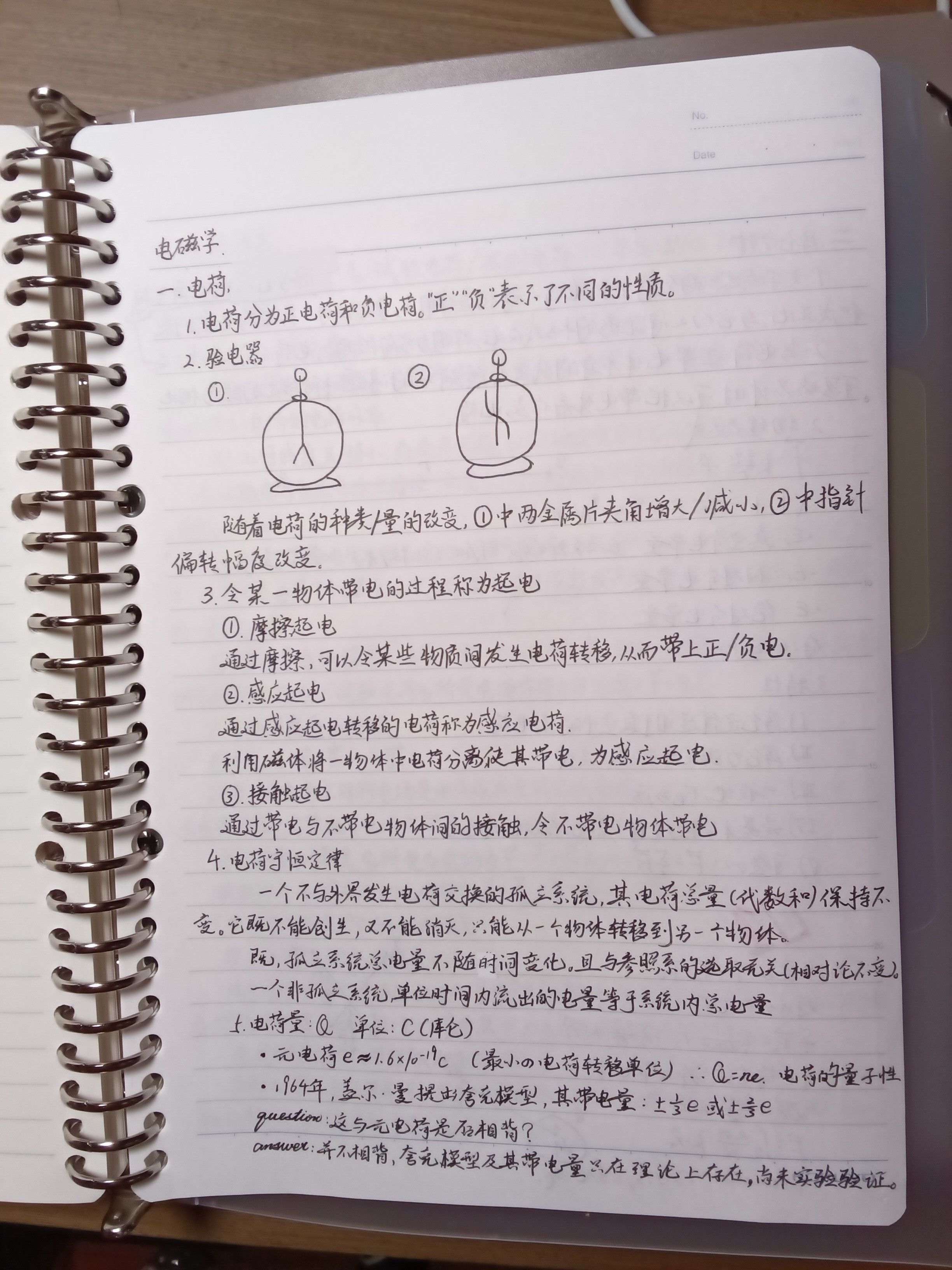 1772535922019.jpg