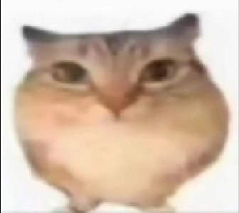 八八博一.jpg