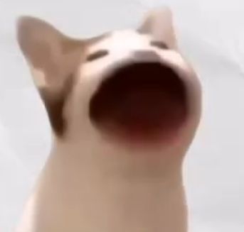 1780823519353.jpg