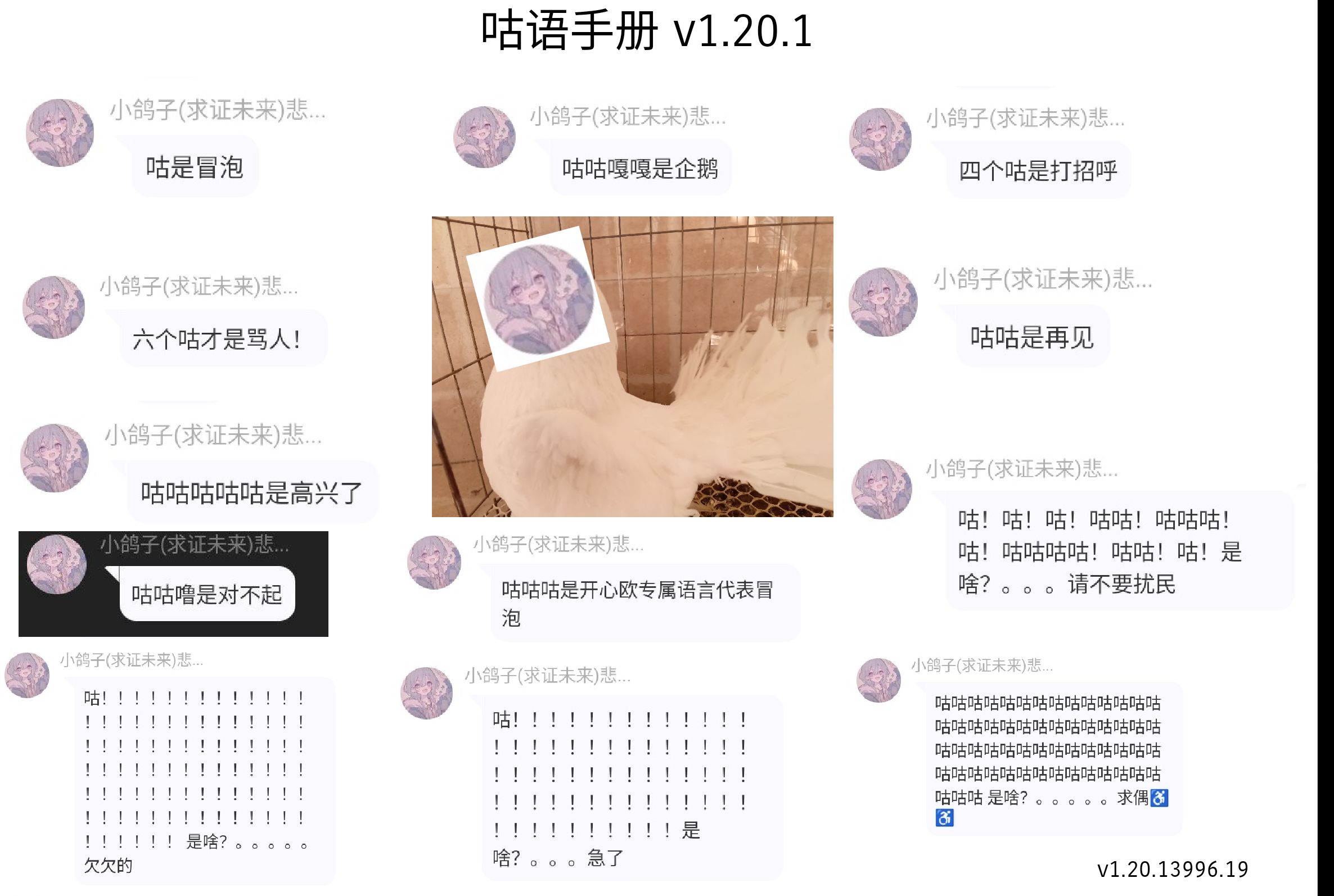 1787227811604.jpg